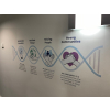 Internal signs