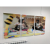 Printed wall signs, internal signs, acrylic signs, photo signs, office tech