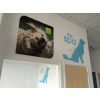 Veterinary signs