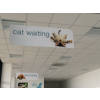 Veterinary signs